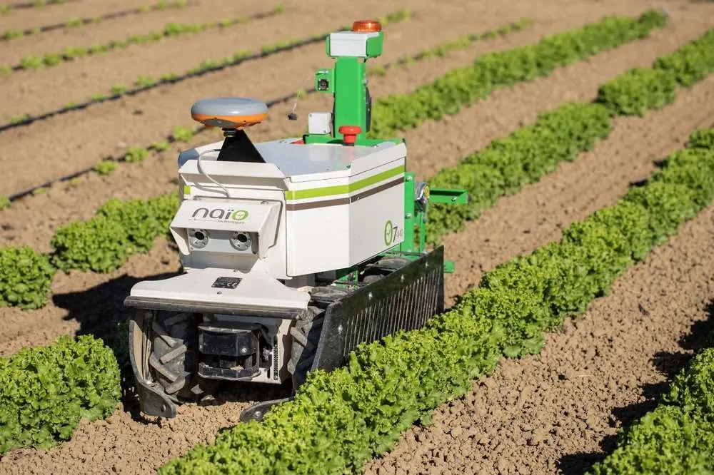 Robot Oz